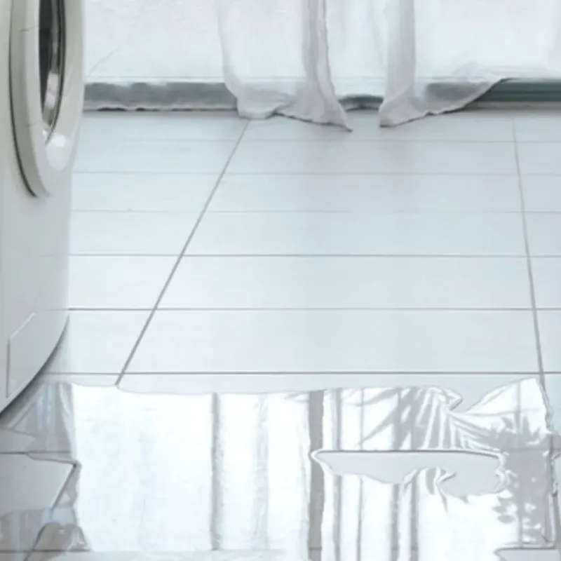 Appliance Leak Cleanup in Thief River Falls, MN