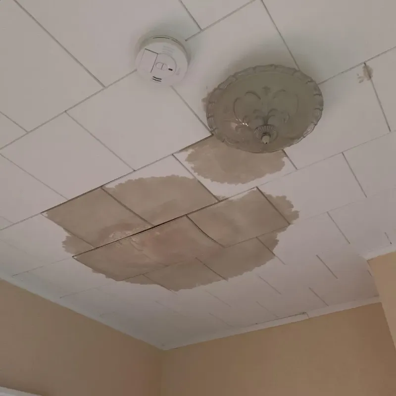 Ceiling Water Damage Repair in Thief River Falls, MN