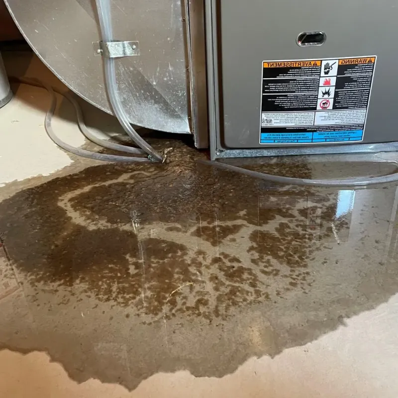 Pipe Burst and Leak Restoration in Thief River Falls, MN